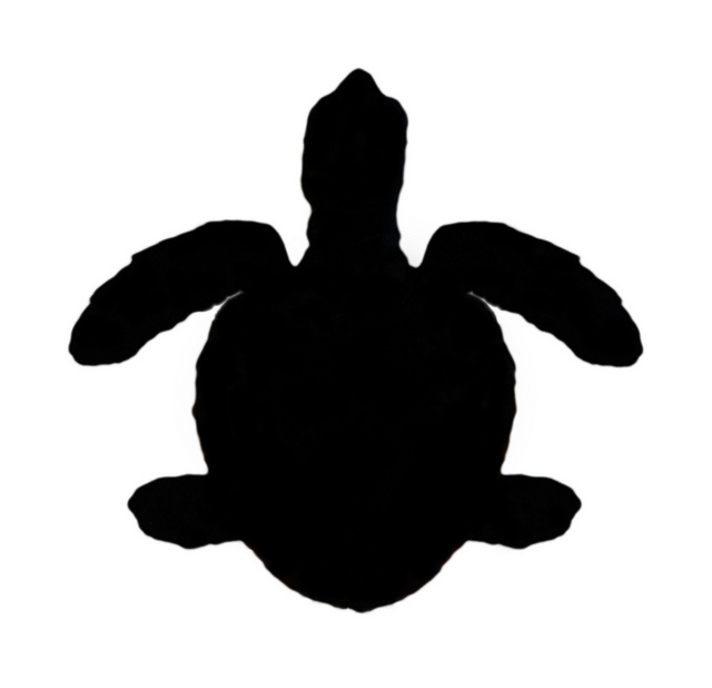 Sea Turtle Silhouette - Free Clipart Images