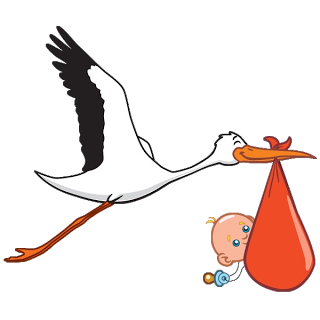 Stork Carrying Baby Boy - Cute Baby And Animals