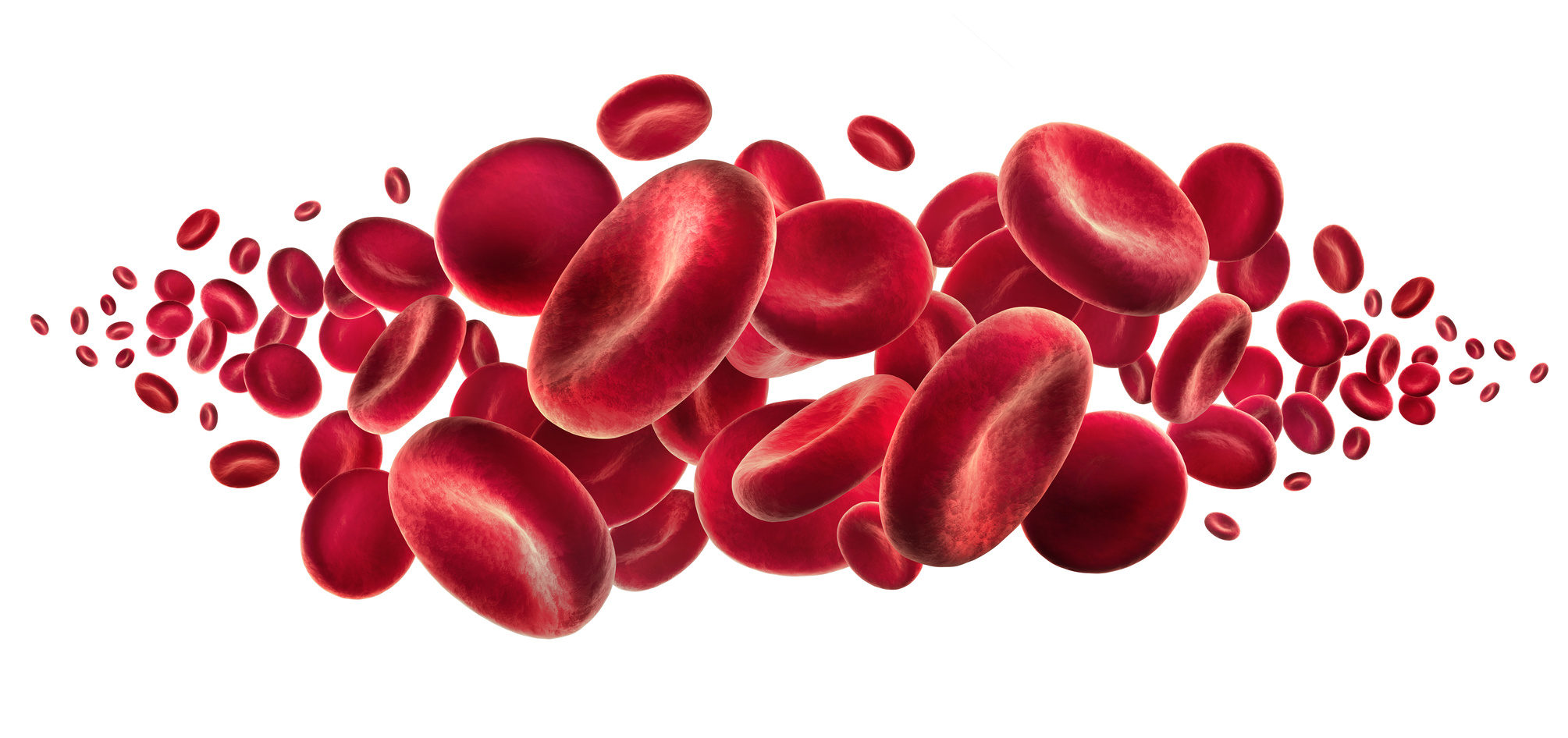 free clipart blood cells - photo #17