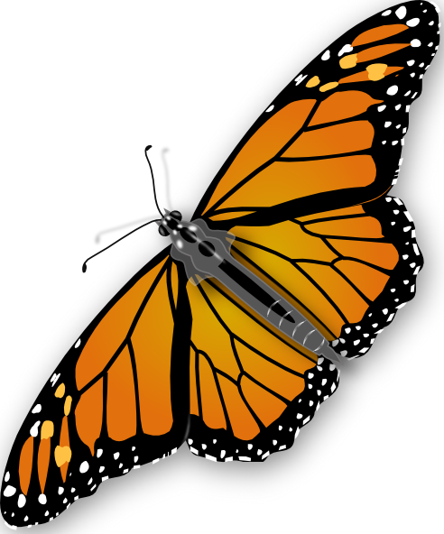 clip art free butterfly - photo #8