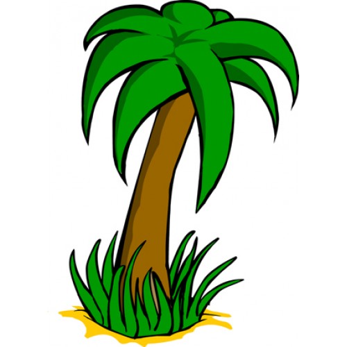 Palm Tree Cartoon
