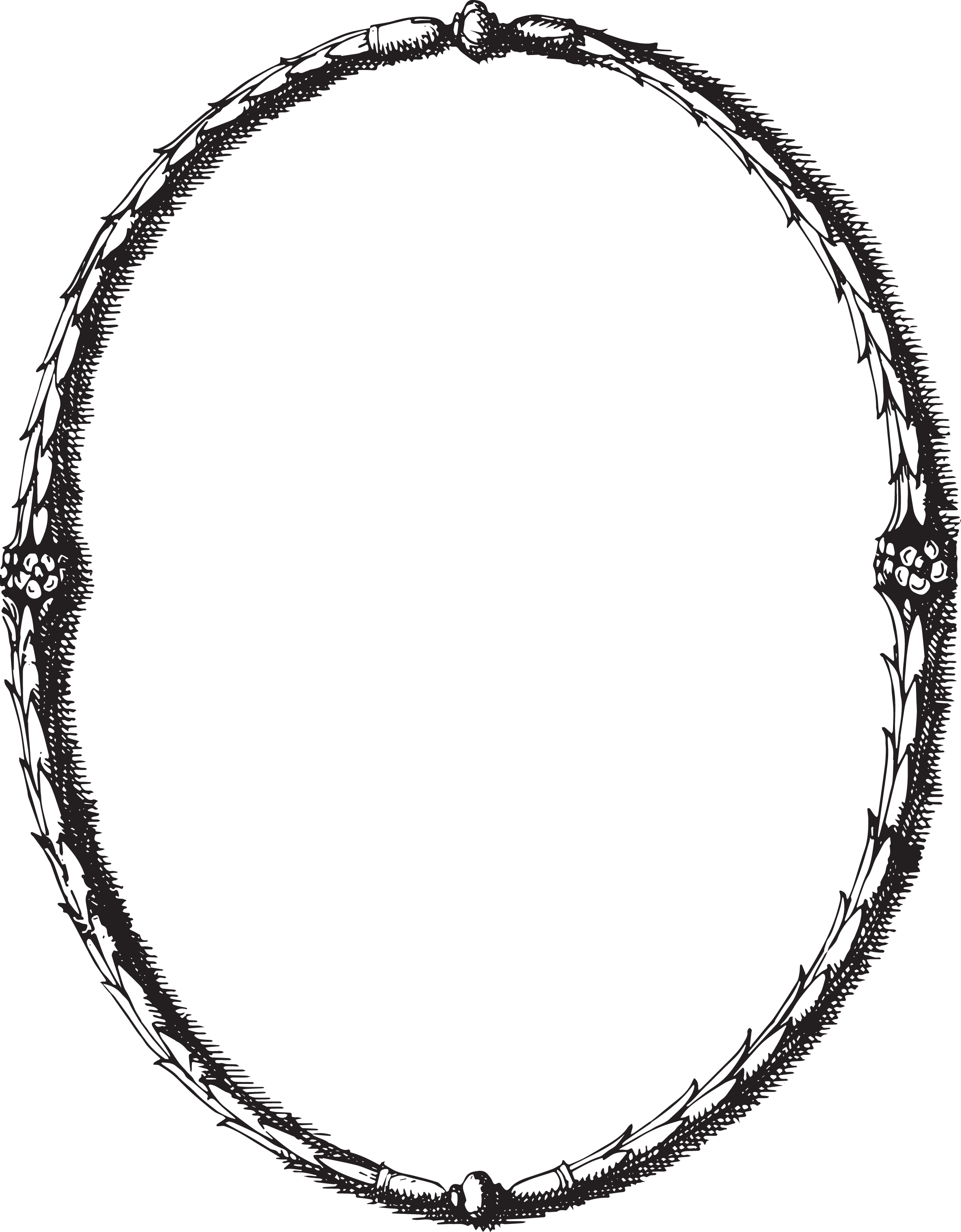 Free oval frame clipart