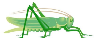 Locust Clip Art - Free Clipart Images