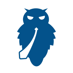 Blue Owl Workshop