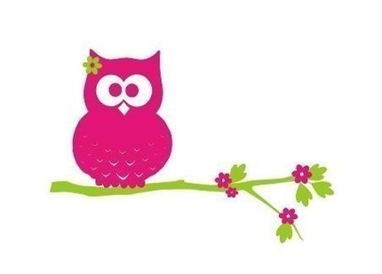 Stylish Owl Baby Nursery Decals for the Wall | weeDECOR
