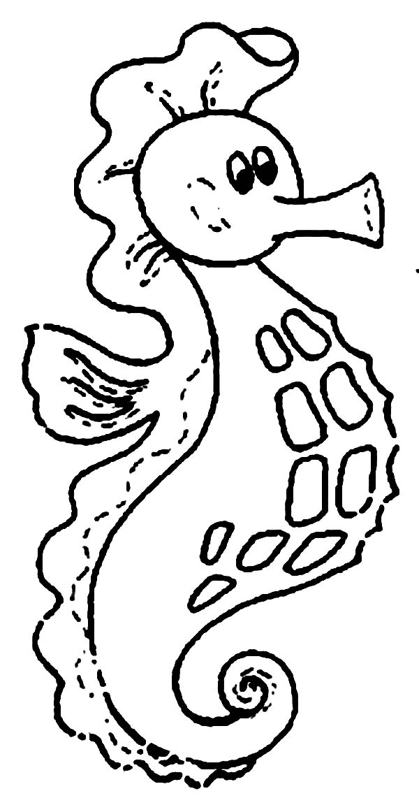Fat Seahorse with a Sizable Pouch Coloring Page | Kids Play Color