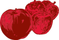 apple in cross section - vector Clip Art