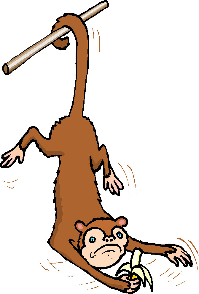 Monkeys Clip Art