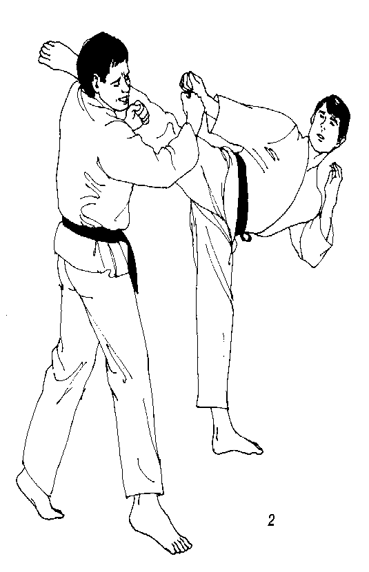 Inside Karate