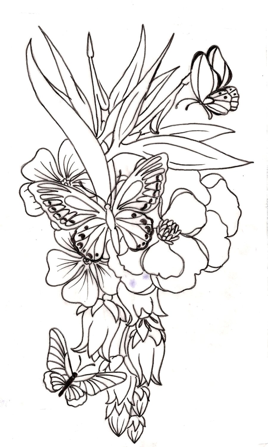 Butterfly Flower Drawing