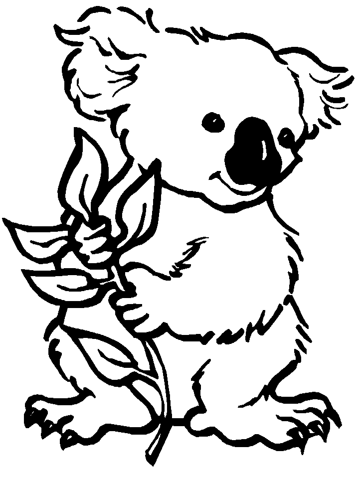 Koala Coloring Pages