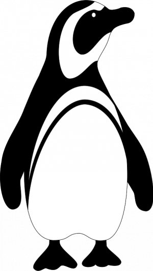 Penguin Black And White Clipart