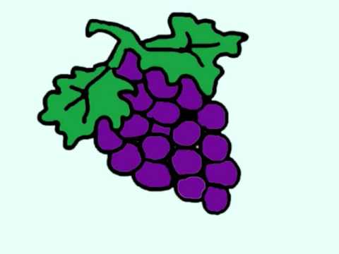 How to draw grapes - EP - simplekidscrafts - YouTube