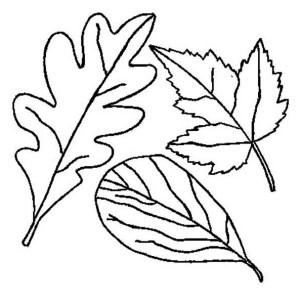 Birch Autumn Leaf Coloring Page | Kids Play Color