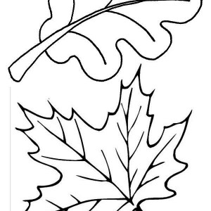 Maple Autumn Leaf Coloring Page | Kids Play Color