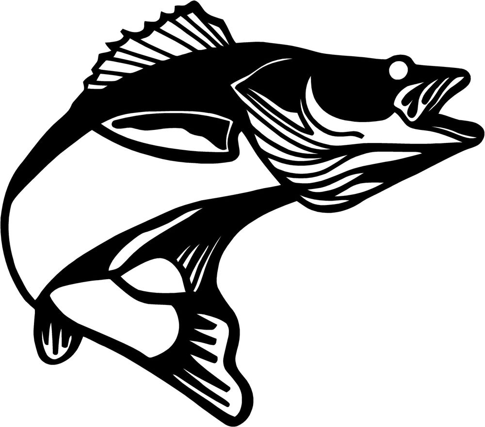 Walleye Pickerel Fish Decal 3.75&#034;x4.25&#034; choose color ...