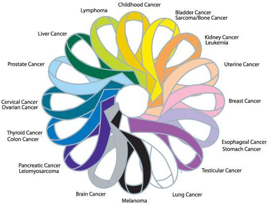 1000+ images about Multiple Awareness Ribbon Causes and Colors on ...
