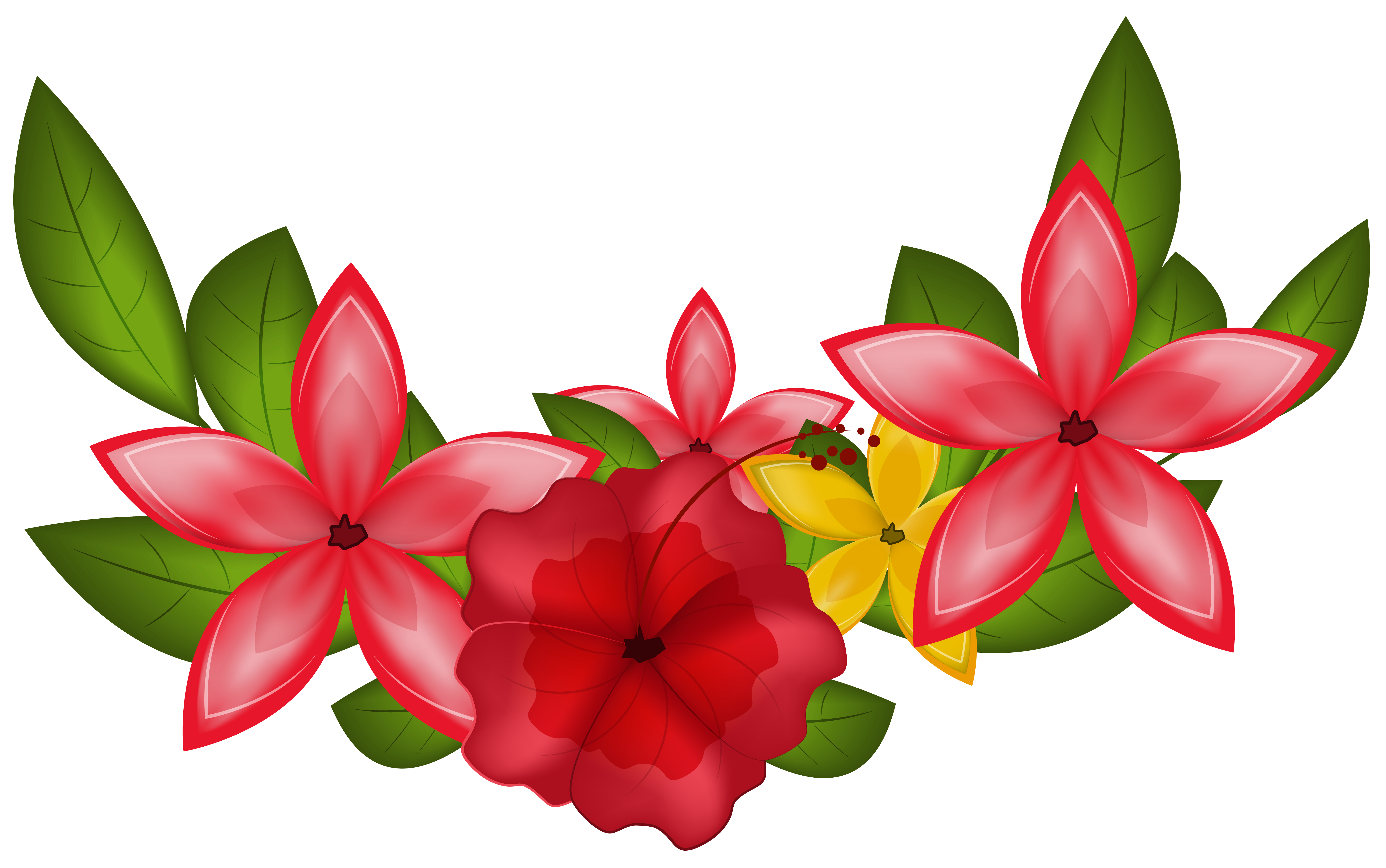 Exotic Floral Decoration PNG Clipart Image