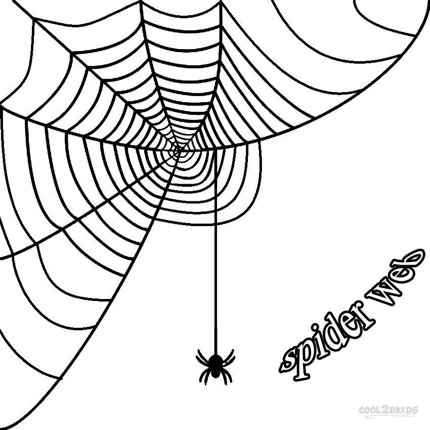 Spider Web Coloring Page throughout draw a web for the spider ...