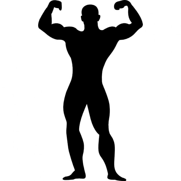 Clipart muscle in body