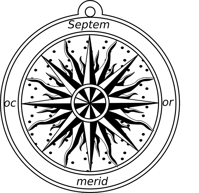 CARTOGRAPHY, MAPPING, COMPASS, WIND ROSE, COMPASS ROSE - Public ...