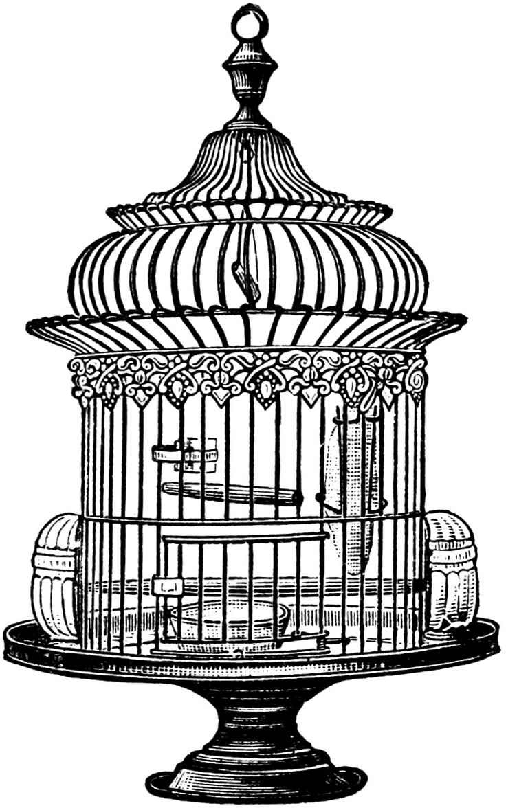 1000+ images about Bird Caged | Pedestal, Clip art ...