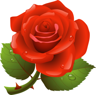 roses artclip roses artclip