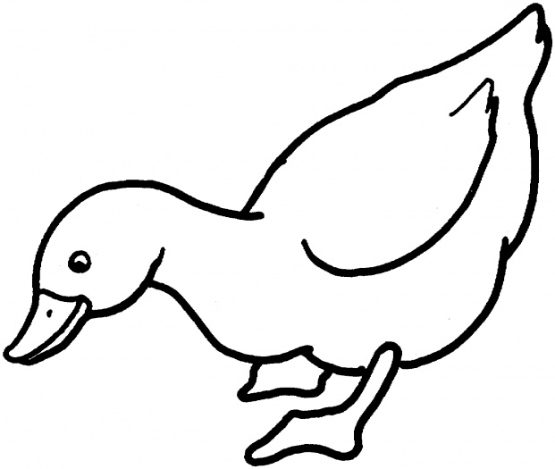 Best Photos of Duck Line Drawing - Rubber Duck Clip Art Black and ...