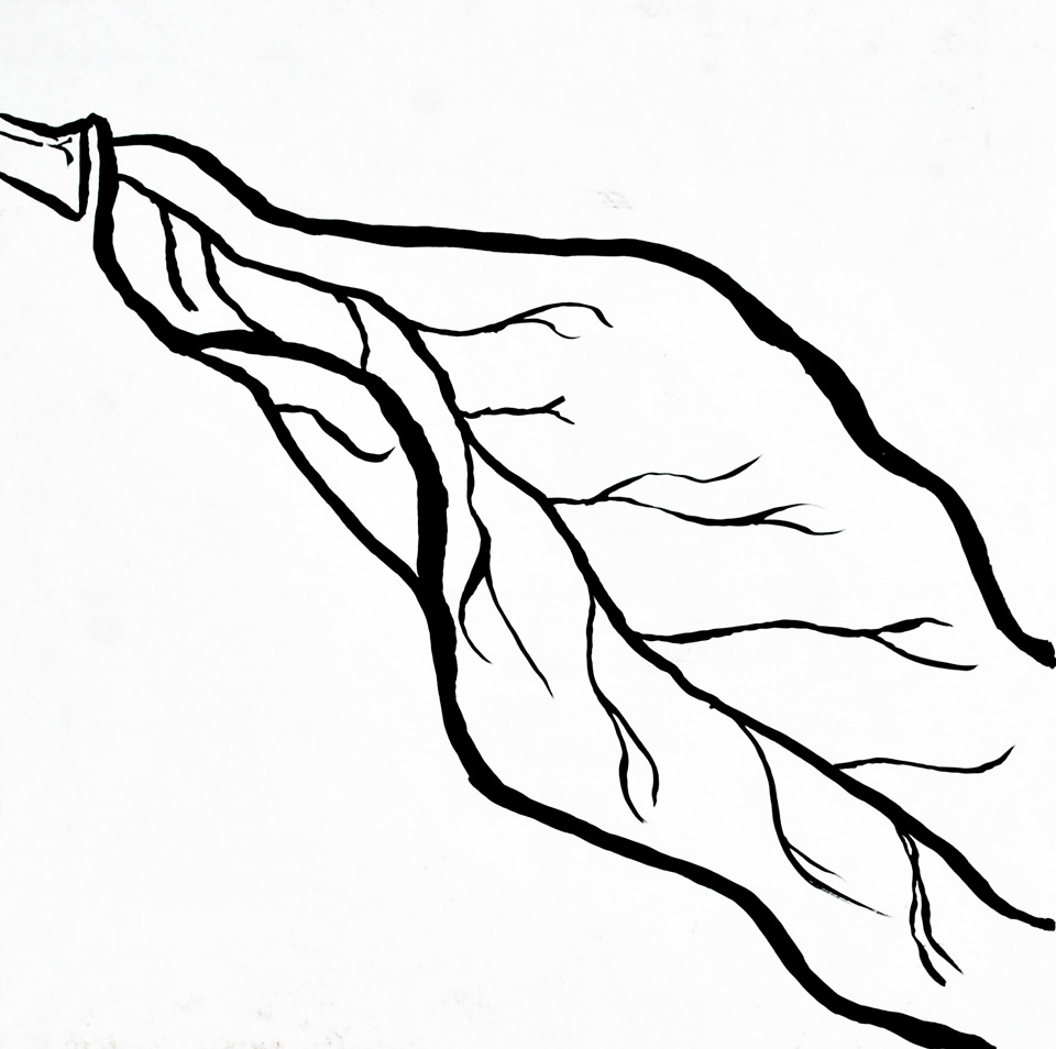 Contour Line Drawing Leaves : Leaf line drawing clipart best