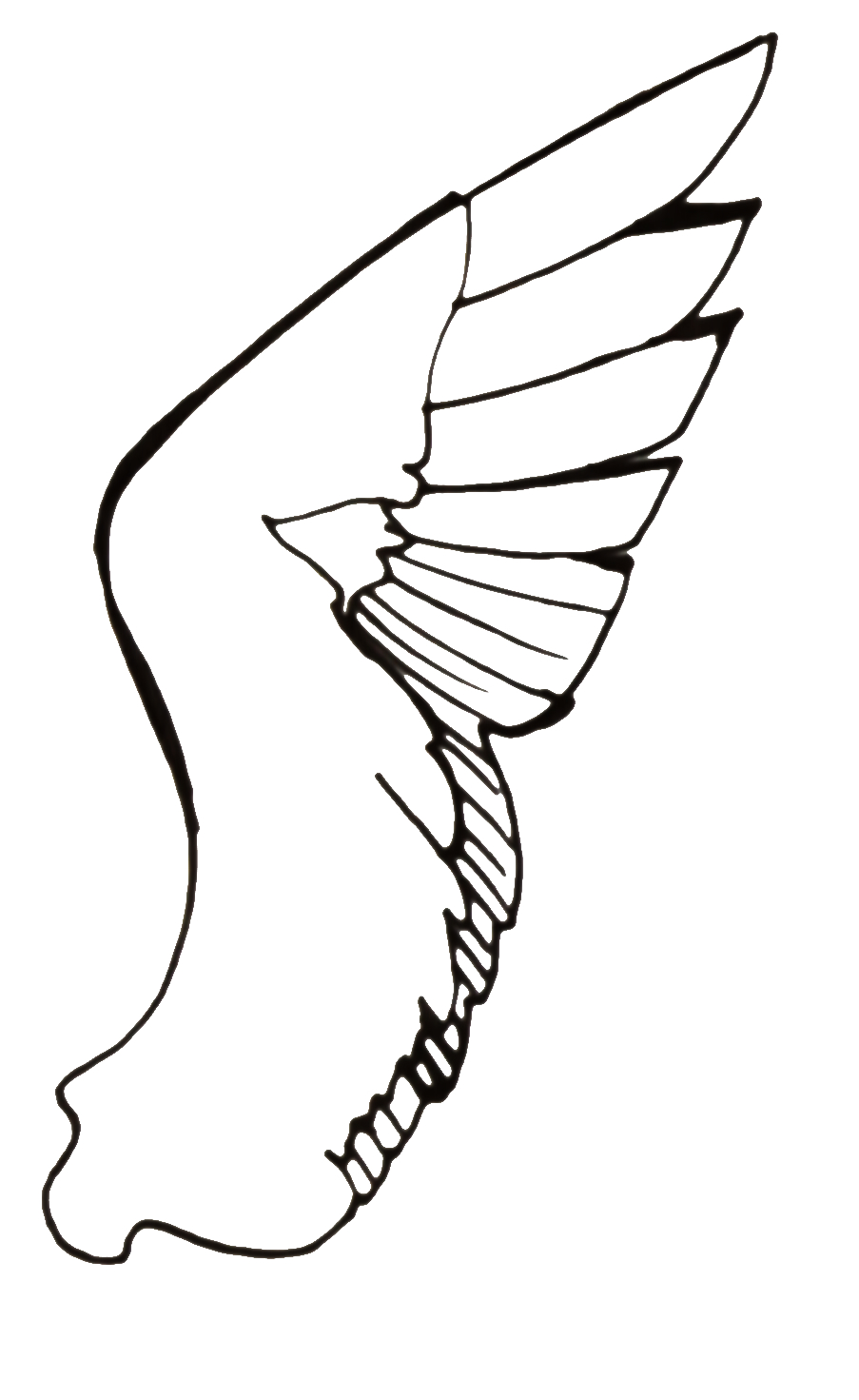 Line Drawings For The Four Winds And For ChristmasArt Love Light