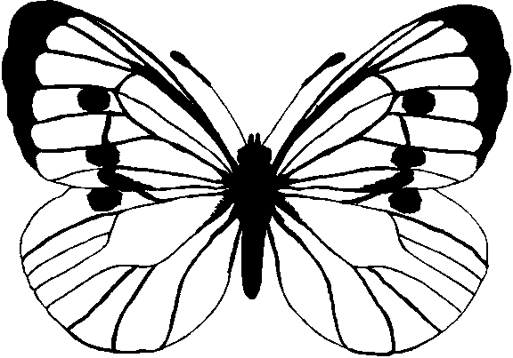 Butterfly Color Pages | Free coloring pages - ClipArt Best - ClipArt Best