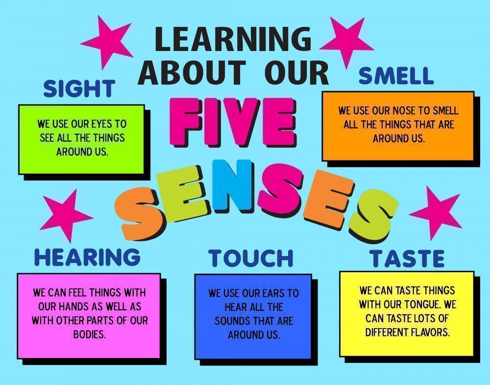 5 Senses ClipArt Best