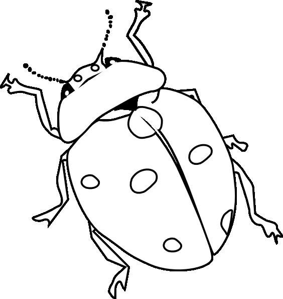 ladybug coloring page - Printable Coloring Pages Design