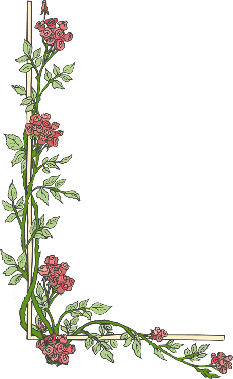 Rosebud Page Border