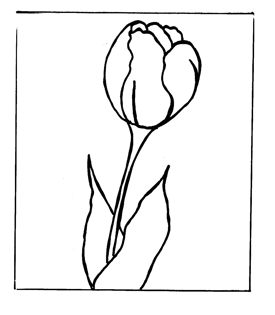 Tulip Line Drawing