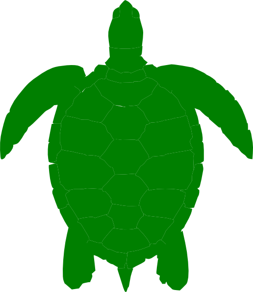 Turtle Outline Template - ClipArt Best