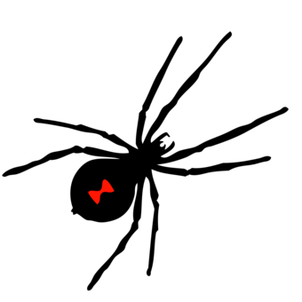 Spider Design Black Widow - ClipArt Best
