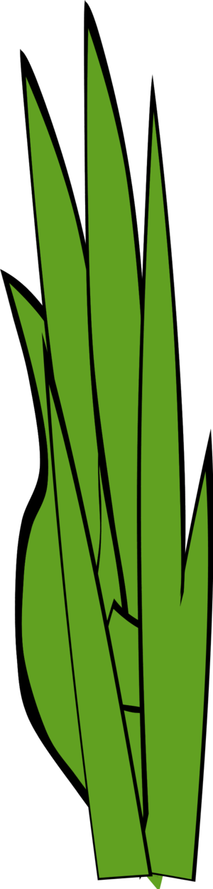blades of grass clip art free - photo #24