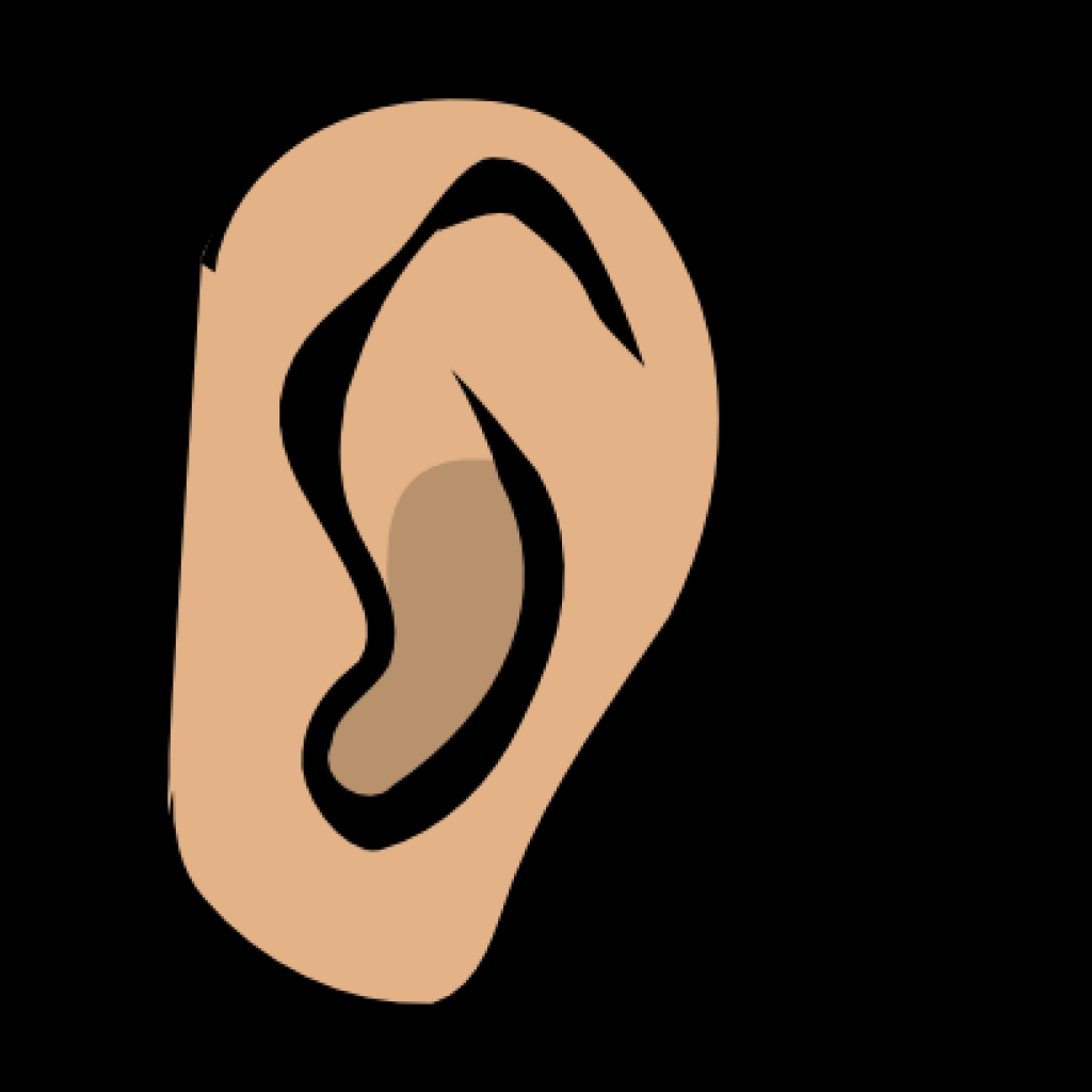 picture of ear clipart picture of ear clipart ear clip art for ...