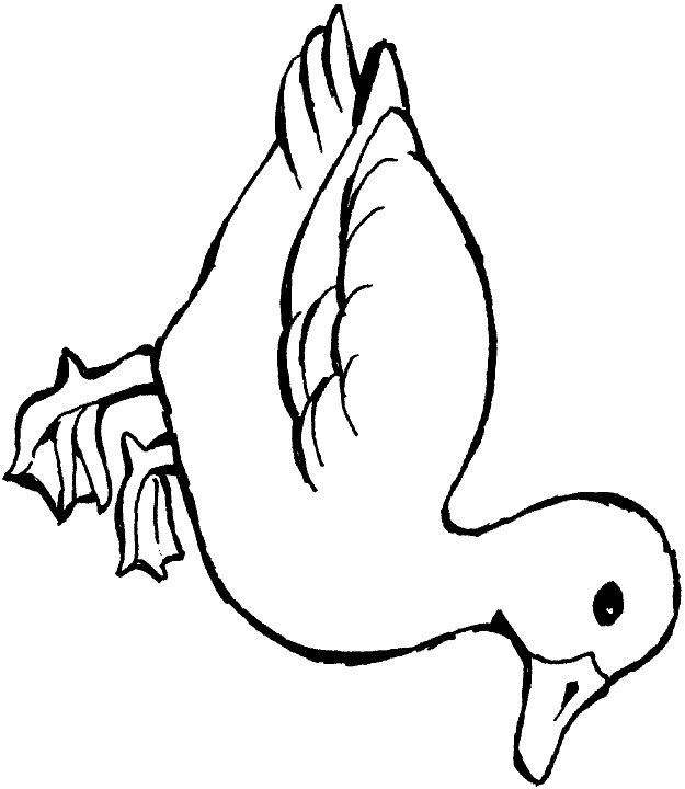 Kids-n-fun.com | 20 coloring pages of Ducks
