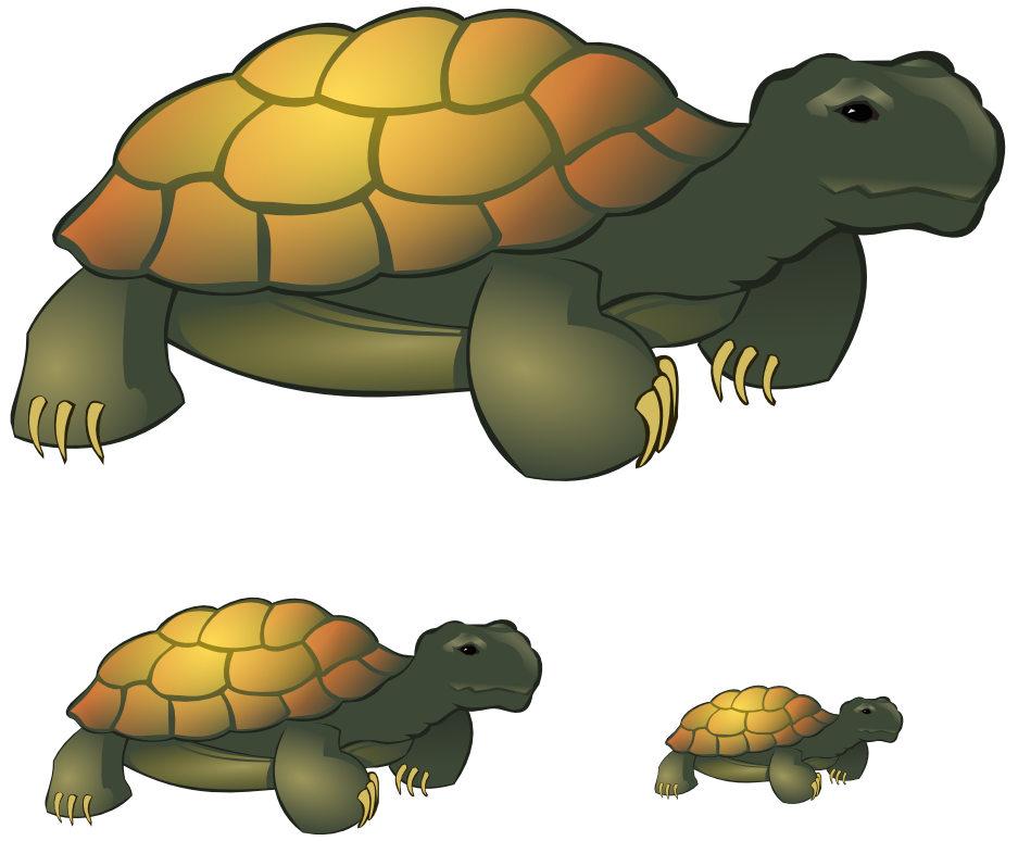 Tortoise Clip Art - Tumundografico