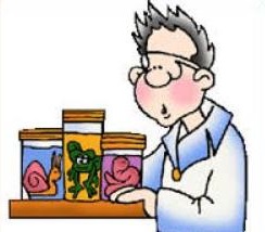 Biologist Clipart | Free Download Clip Art | Free Clip Art | on ...