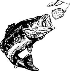 Bass fish vector clipart