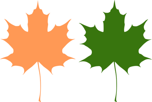 Orange and green maple leaves vector drawing | Public domain vectors