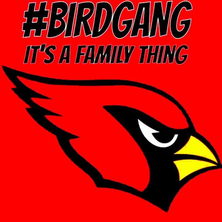 1000+ images about Arizona Cardinals | The birds ...