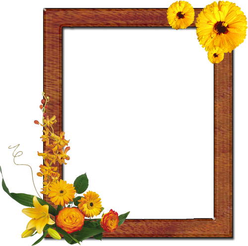 Png Frame for Photoshop - wood and flowers - 7 png frames files ...