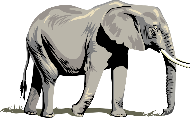 Elephant Clip Art Free Download - Free Clipart Images