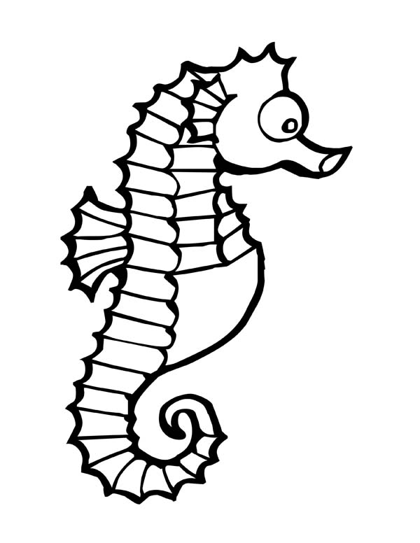Big Rounded Eye Seahorse Coloring Page - Free & Printable Coloring ...