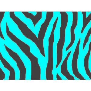 zebra print background edited by salvsnena - Polyvore