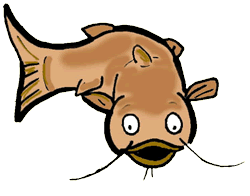 Catfish 20clipart - Free Clipart Images